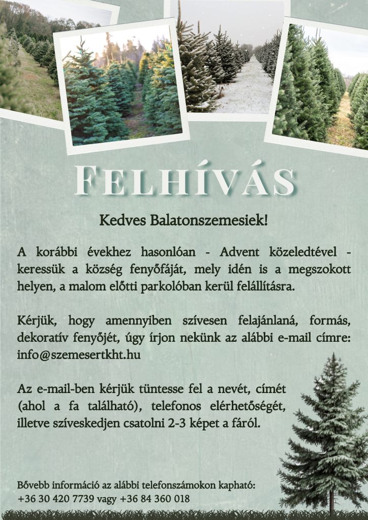 Felhivas kozseg fenyofaja Felhívás - Fenyőfa